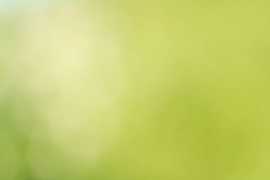 Doğal güneş ışığı ile doğadan yeşil bulanıklık arka plan