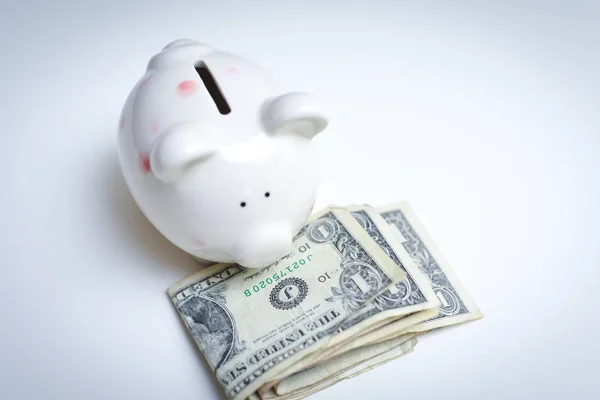 Spaarrekening concept, spaarvarken met persoonlijke besparingen voor Ho — Stockfoto