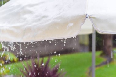 Sağanak yağış sırasında bahçe şemsiyesinden sağanak yağmur yağıyor