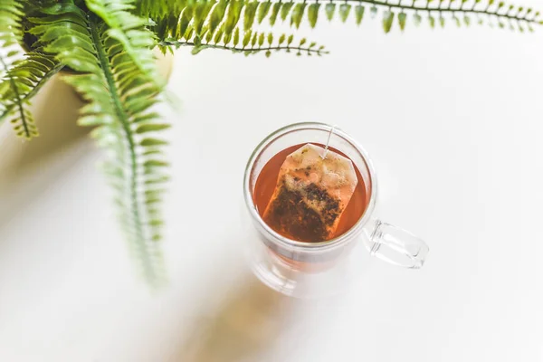 Tasse Tisane Apaisante Avec Sac Dans Cadre Intérieur Maison — Photo