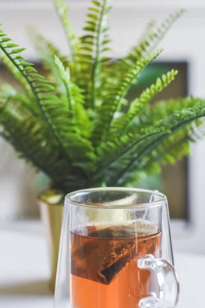 Cup Calming Herbal Tea Bag Home Interior Setting — Stock Photo, Image