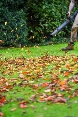 A man using a leaf blower machine to clear autumn leaves from a garden during fall clipart