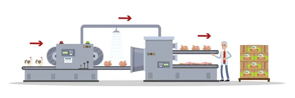 Automated chicken meat production process on the machinery line