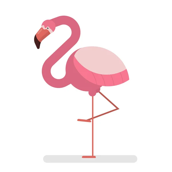 ベクトル イラスト等尺性鳥フラミンゴ ストックベクター C Sasha Kasha