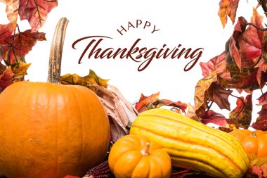 Sonbahar sebze, kabak ve ahşap arka plan yapraklarda