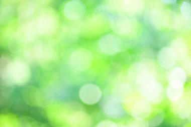 Gür, yeşil, doğal Bokeh arka plan