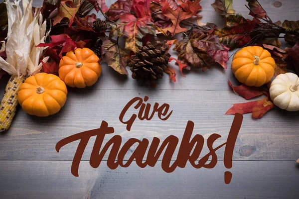 Sonbahar sebze, kabak ve ahşap arka plan yapraklarda