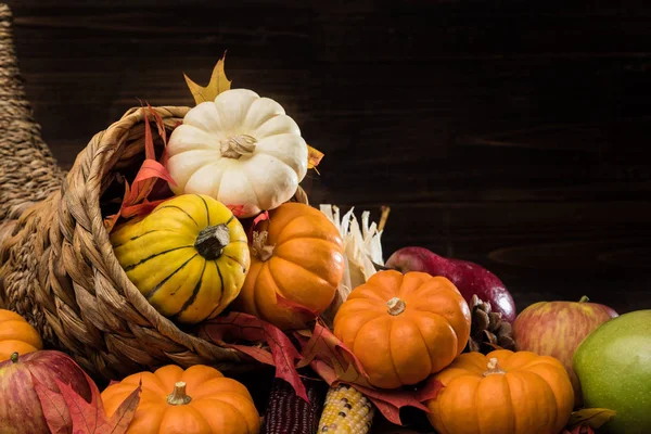 Hálaadás és ősszel bőségszaru — Stock Fotó