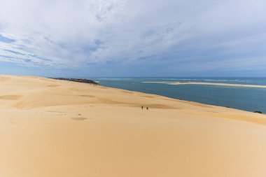 Landscape of the Dune of Pilat