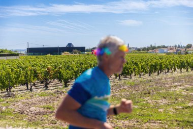 A runner in front of vineyards and Chateau Pedesclaux during the 39th Marathon du Medoc