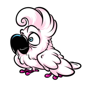 Komik papağan papağan görüntü illüstrasyon izole karikatür