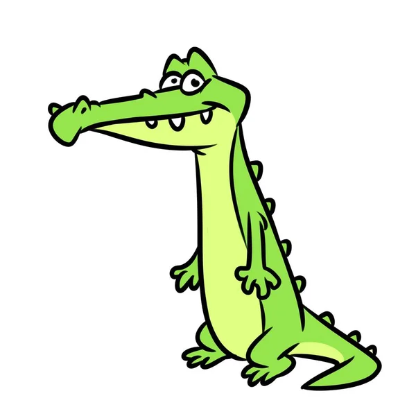 Crocodile Cartoon Illustration Isolated Image Stock Photo by ©Efengai  252425666