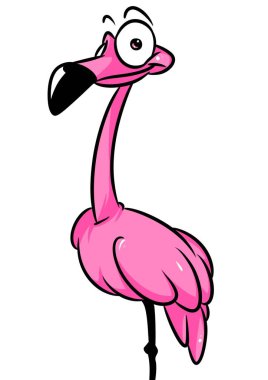 Pembe flamingo parodi kuş hayvan karakter karikatür görüntü illüstrasyon izole