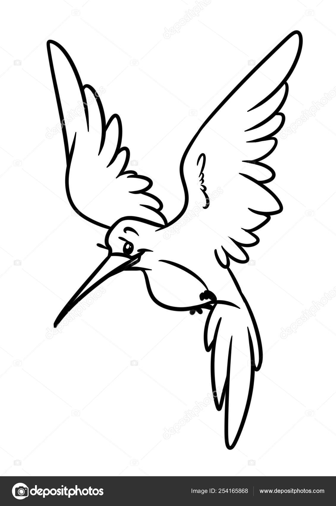 小さなハチドリ鳥動物文字漫画のイラスト分離イメージでは ページを着色 ストック写真 C Efengai 小さなハチドリ鳥動物文字漫画のイラスト分離イメージでは ページを着色 ストック写真 C Efengai