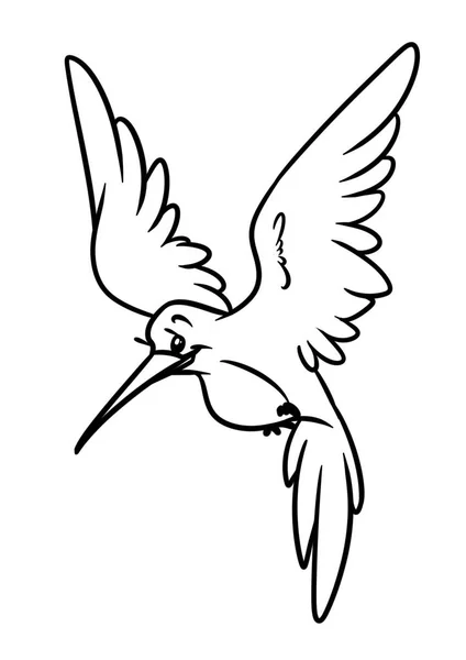 Mały Koliber Ptak Zwierzę Charakter Ilustracja Kreskówka Białym Tle Obraz — Zdjęcie stockowe