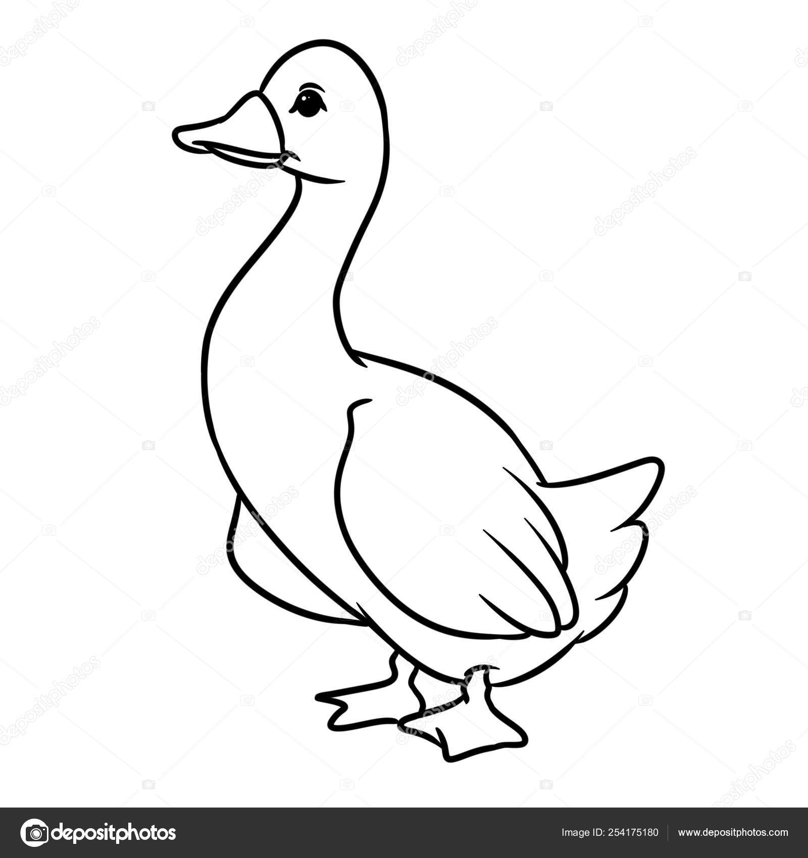 White Goose Bird Cartoon Illustration Isolated Image Animal Character Coloring Stock Photo by ©Efengai 254175180 White Goose Bird Cartoon Illustration Isolated Image Animal Character Coloring Stock Photo by ©Efengai 254175180