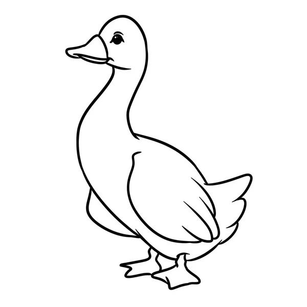 White Goose Bird Cartoon Illustration Isolated Image Animal Character Coloring — Stock Photo, Image