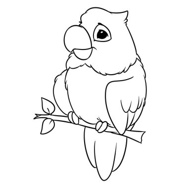 Parrot oturma resim illüstrasyon izole karikatür sayfa boyama şube
