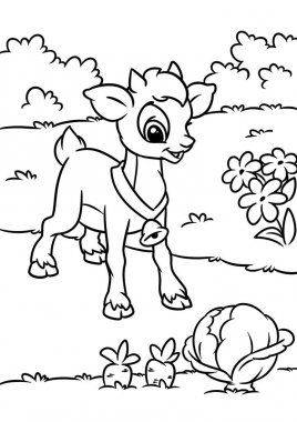 Bahçe hayvan illüstrasyon karakter karikatür keçi köy lahana sayfa boyama