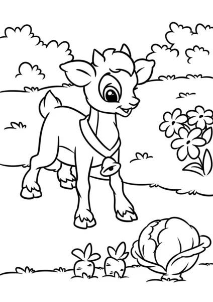 Little Funny Goat Animal Character Cartoon Illustration Village Garden Cabbage — Stock Photo, Image