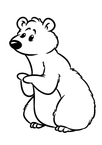 Brown bear animal character cartoon illustration isolated image coloring page