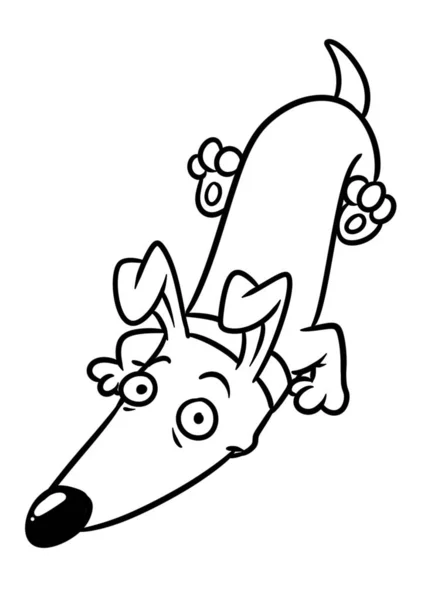 Hund Dackel Parodie Lächeln Lügen Tier Charakter Cartoon Illustration Isoliert — Stockfoto