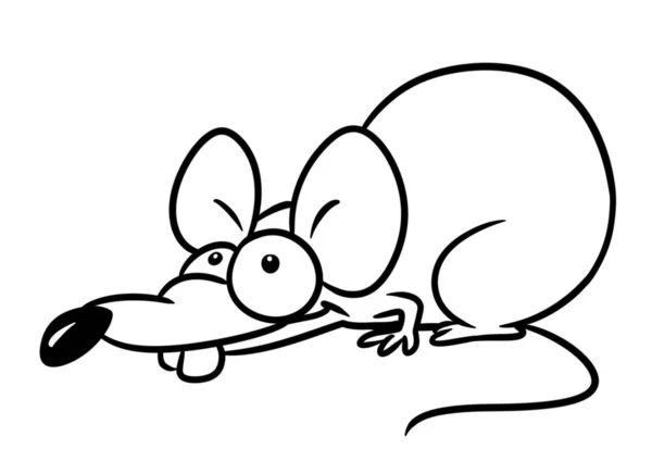 Patkány Állati Karakter Karikatúra Illusztráció Izolált Kép Színezés Oldal — Stock Fotó