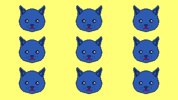 O gato pixel se move com os olhos e mostra a língua em um fundo amarelo. Pronto para usar em qualquer projeto . — Vídeo de Stock