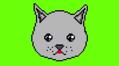 Piksel kedi gözleri ile hareket eder ve dil üzerinde yeşil bir ekran gösterir. Herhangi bir proje kullanıma hazır.