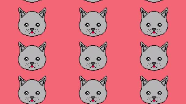 El gato píxel se mueve con los ojos y muestra la lengua sobre un fondo rojo. Listo para usar en cualquier proyecto . — Vídeos de Stock