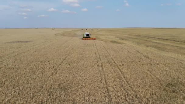 Vista aérea de una barredora que trabaja en el campo. Un tractor grande arando un campo. Agricultura. Agricultura — Vídeos de Stock