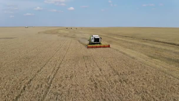 Flygfoto över en sopmaskin som fungerar i fältet. Stor traktor plöjer ett fält. Jordbruk. Jordbruk — Stockvideo