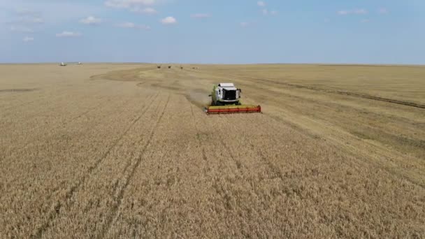 Vue aérienne d'une balayeuse qui travaille sur le terrain. Un gros tracteur labourant un champ. L'agriculture. Exploitation agricole — Video