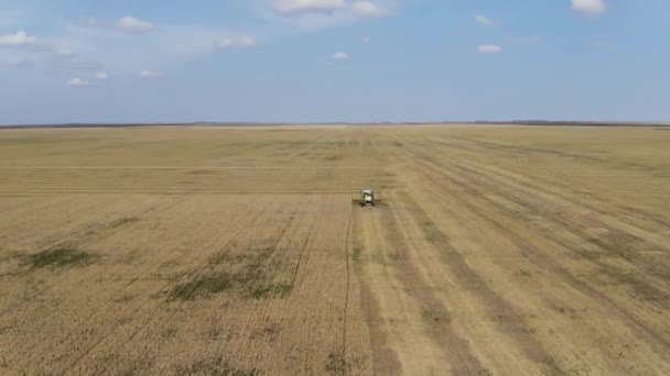 Сільськогосподарська комбінація плутає поле. Вид з повітря. Збирання пшениці. Сільське господарство. Сільське господарство . — стокове відео