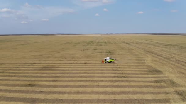 Una cosechadora agrícola arada el campo. Vista aérea. Cosechando trigo. Agricultura. Agricultura . — Vídeo de stock