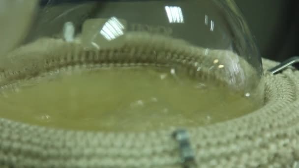 化学実験室のフラスコで沸騰ソリューションのプロセス. — ストック動画