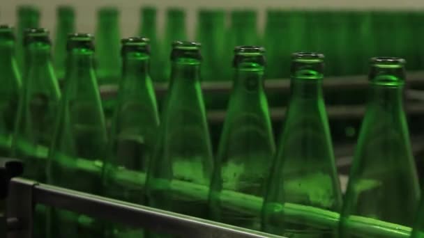 Cinta transportadora con botellas de vidrio para embotellar cerveza . — Vídeos de Stock