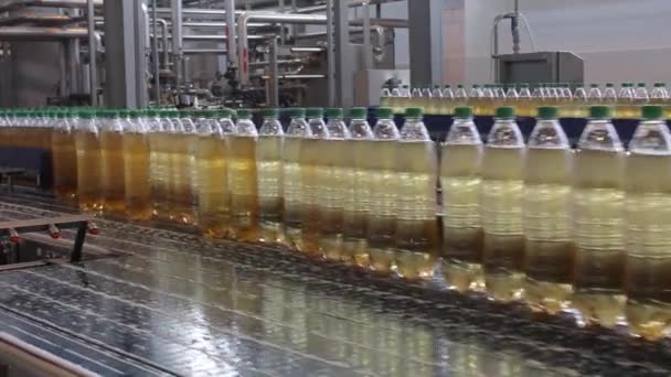 Productieproces. Een transportband van plastic flessen gevuld met vloeistof. Limonade transportband. — Stockvideo