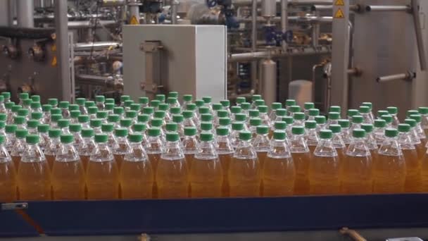 Proceso de producción. Un transportador de botellas de plástico llenas de líquido. Transportador de limonada . — Vídeos de Stock