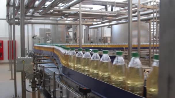 Produktionslinjen lemonad. Ett transportband av plast flaskor fyllda med vätska. — Stockvideo