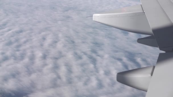 Reizen Door Lucht Boven Wolken Weergave Van Pluizige Wolken Uit — Stockvideo