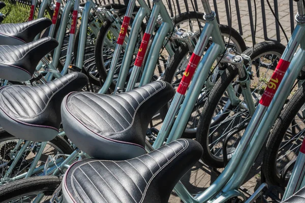 Sièges de vélo. Les vélos se tiennent dans une rangée. contexte — Photo