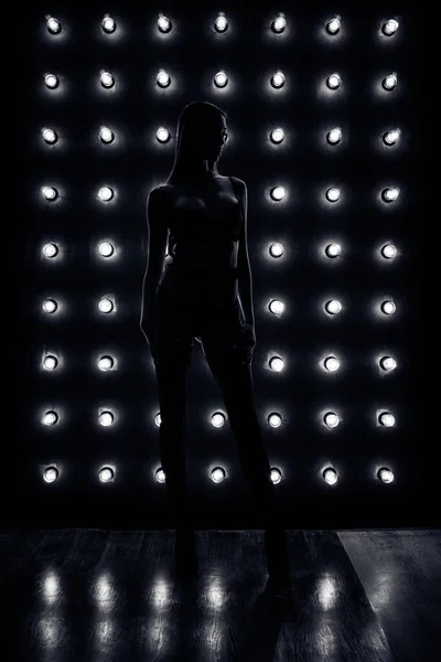 Silueta de una chica sexy en el fondo de las lámparas led. Filtro oscuro — Foto de Stock