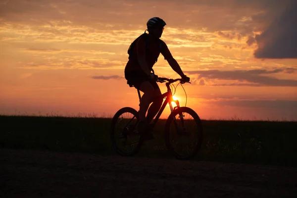 Силует Велосипедиста Який Подорожує Фоні Заходу Сонця Дорозі Поля — стокове фото