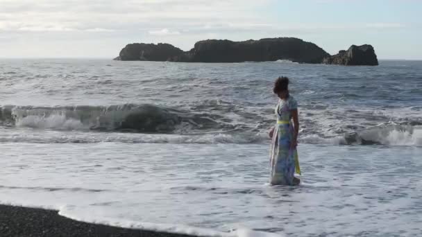 ドレスを着た若い女性が踊り 黒いビーチの上を歩きます 海岸に実行します アイスランド — ストック動画