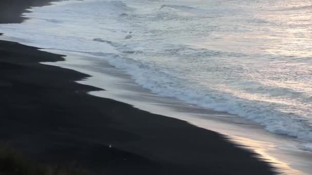 ビーチの上に実行します 黒いビーチの背景に波から泡を白します 海でサーフィンします — ストック動画