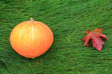 Turuncu kabak yeşil çimenlerin üzerinde yatıyor. Cadılar Bayramı tatil