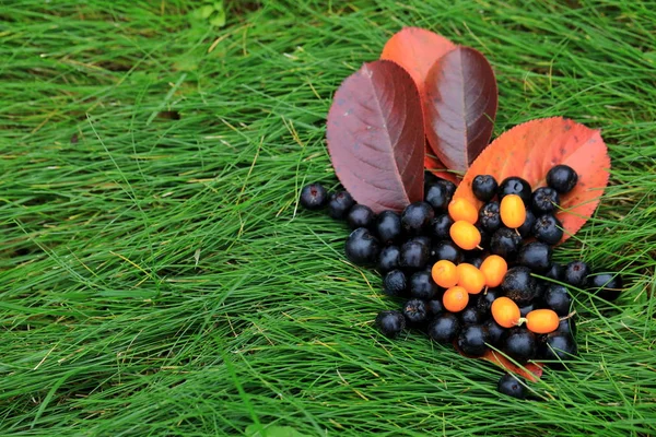 Orangefarbener Kürbis Liegt Auf Dem Grünen Gras Halloween Feiertag — Stockfoto