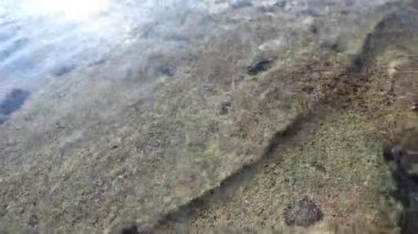 Genç bir kız yalınayak kumsalda yürür. Şeffaf su ile taşların alt kısmında görünür. Güneş güzel suya yansıyan ve kamera hits.