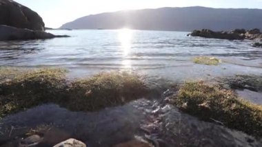 Genç bir kız yalınayak kumsalda yürür. Şeffaf su ile taşların alt kısmında görünür. Güneş güzel suya yansıyan ve kamera hits.